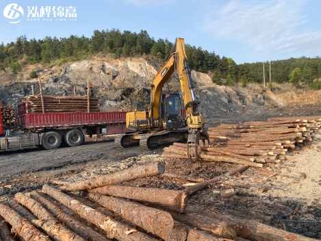 松木樁批發(fā)價格是多少？