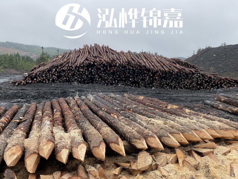 6米長松木樁有哪些作用，多少錢一根？