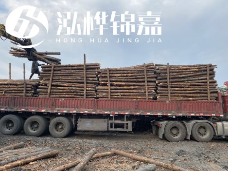 打樁木材為何首選松木？松木樁應該怎么打樁施工