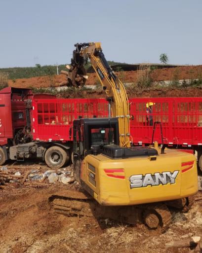 松木原木、松木條，漲勢如虹，現(xiàn)在搶購最劃算(附松木原木供應(yīng)廠家介紹)