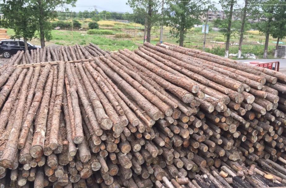 <a href=http://b7wa.com/ target=_blank class=infotextkey>打樁木</a>