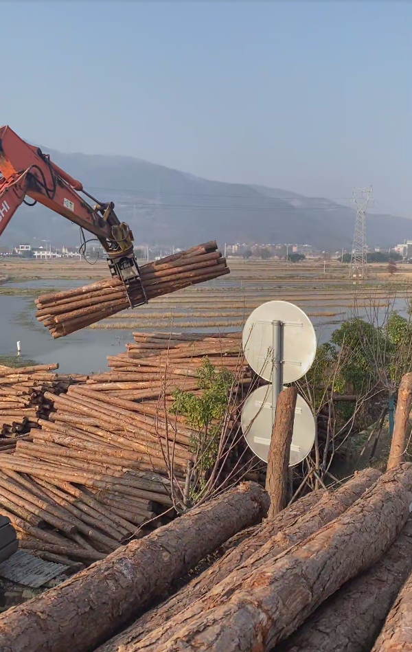 深圳松木樁施工專家-平原松木樁施工優(yōu)勢？