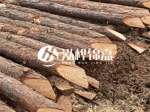 松木樁削尖的費用怎么算？按根收費還是包含在單價里？