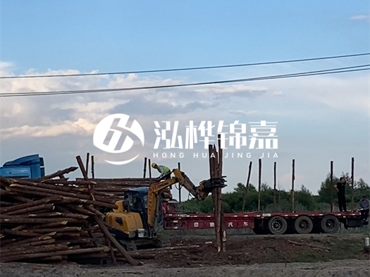 河北打樁木源頭廠家泓樺錦嘉 - 北方常用打樁木是什么？