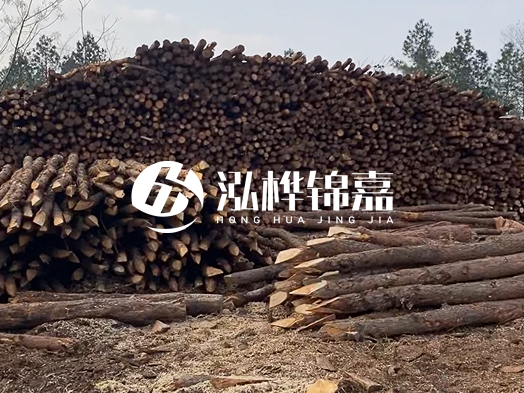 地基打木樁用什么木材 - 地基打木樁的能撐幾年？