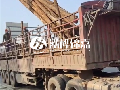 4米長杉木10公分價格-4.5米直徑15cm 杉木多少錢？