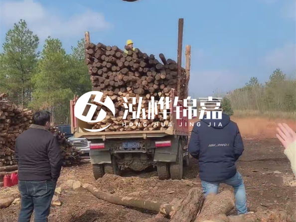 松木樁廠家泓樺錦嘉-存放超過半年的原木松木樁還能用嗎？